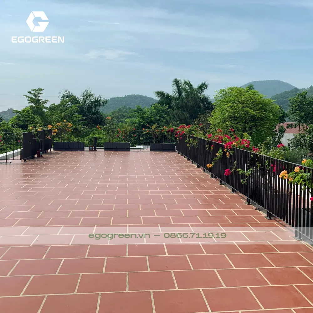 Xu hướng sống xanh lớn mạnh ở Việt Nam